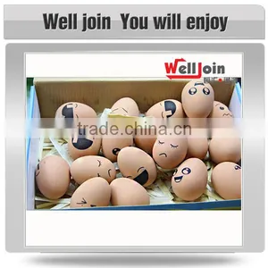 Wholesale Rubber Bouncy Ball for Pets thumbnail-1