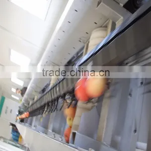 Dragon Fruit Sorting Machine thumbnail-1