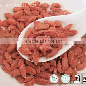 New Dried Goji Berry Snack Food thumbnail-1