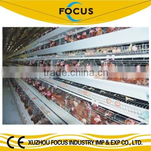 Focus Industry Hot Sale Hot Galvanized Layer Chicken Battery Cage Chicken Cage for Sale thumbnail-1
