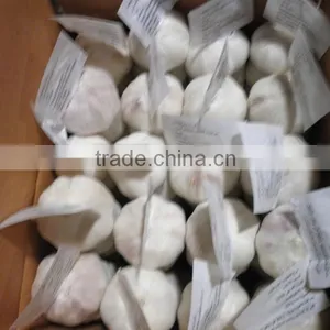 Shangdong Garlic Factory Chinese Garlic Price thumbnail-6