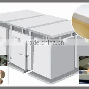 New Technology Cool Room / Cold Room / Freezer Room thumbnail-1
