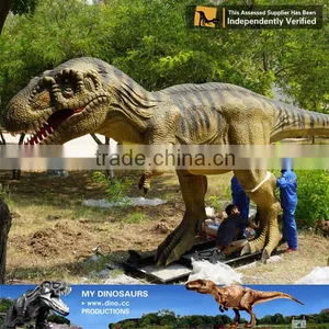 MY Dino-Outdoor Fiberglass Dinosaur Statue for Dinosaur Theme Parks thumbnail-4