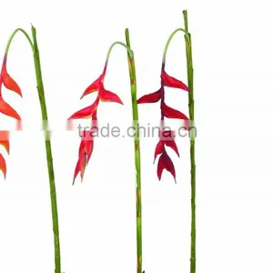 Artificial Hanging Heliconia YL146 thumbnail-3