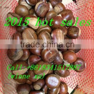 2015 New Crop Cut Frozen Chestnuts thumbnail-1