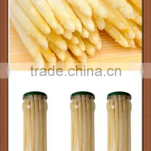 Canned Vegetable White Asparagus With Best Price for French Food thumbnail-2