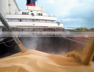 GLOBAL BULKCARGO AND GENERAL CARGO SHIPPING thumbnail-1