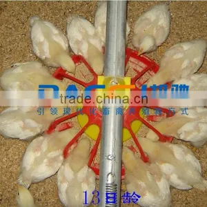 New Design Automatic Chicken Feeder Pan/ Feeding System for Poultry thumbnail-4