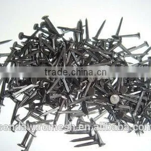 Shoe Tack Nails thumbnail-2