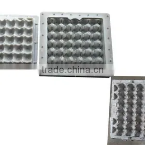 Eco-friendly Customized Plastic Egg Tray Molded thumbnail-1