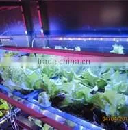 MarsHydro Waterproof ETL Certificated Led 60 Cm/120 cm Grow Bar thumbnail-1