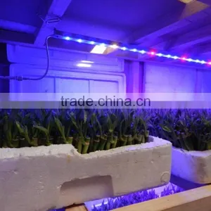 MarsHydro Led Grow Bar60cm 120cm ,marshydro Led Grow Light,waterproof Grow Bar Strip thumbnail-2