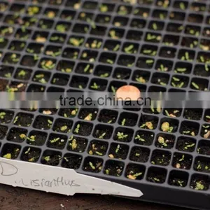 420 Cell Black HIPS Vegetable Plants Seed Nursery Trays, Stock MOQ 1000pcs thumbnail-5