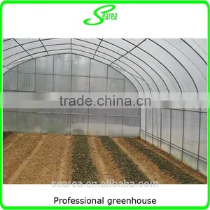 Greenhouse Project Cheap Commercial Agricultural Low Cost Greenhouse thumbnail-5