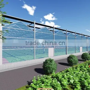 Automatic Ecological Temperature Glass Greenhouse thumbnail-1