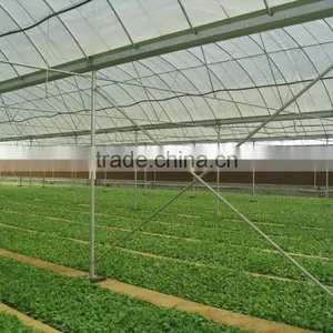 Nursery Greenhouse thumbnail-3