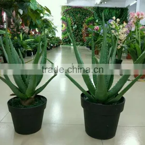 Landscaping Orgament Plant/Artificial Bonsai Plant/fake Aloe Vera Plant thumbnail-1