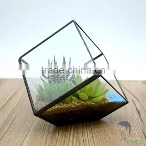 Versatile Clear Glass Terrarium for Plant or Flower thumbnail-1