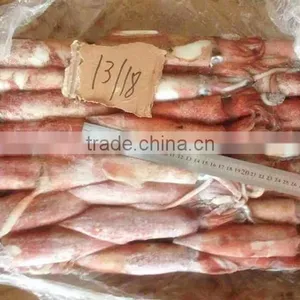 Frozen Whole Round Red Squid thumbnail-3