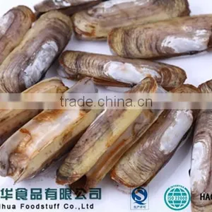 Whole Round Frozen Razor Clam Shellfish With Shell Chinese Supplier thumbnail-1