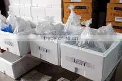 Ornamental Fish Farm and Export Company thumbnail-6
