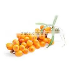 Seabuckthorn Oil thumbnail-3