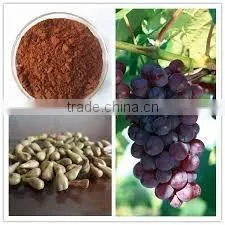 Grape Seed Extract thumbnail-4