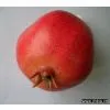 Artificial Vegetable thumbnail-1