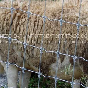 New Type Fixed Knot Wire Mesh Goat&sheep Fence Panel thumbnail-1