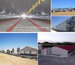 Portal Steel Structure Breeding Shed thumbnail-1
