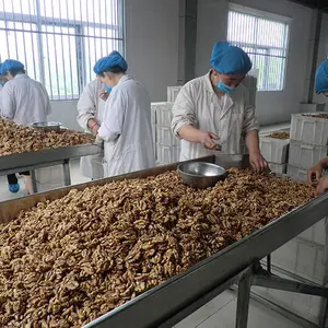 Hebei Suguo International Trade Co., Ltd. company overview - view 3 thumbnail