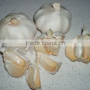 Normal White Garlic From Jinxiang thumbnail-1