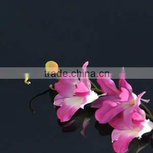 Painted Glass,Painted Float Glass,Painted Reflective Glass thumbnail-1