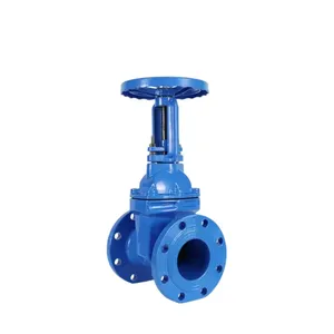 Resilient Seated Ductile Iron Gate Valve Soft Seal Globe Check Non Return Valve Z41X-16Q thumbnail-3