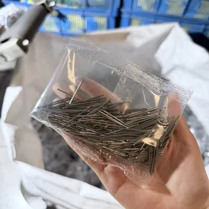 China Made Bullet Head Nails 190g per Pack With Custom Packaging Options thumbnail-1
