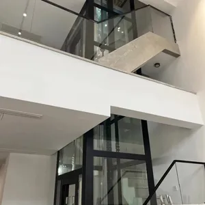 Villa Elevator thumbnail-4