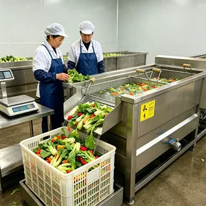 Professional KI-055 Vegetable Blanching Machine 200kg/h High Efficiency Gas Heated Potato Blancher for Snack Food Factory thumbnail-2