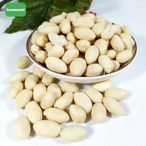 Large 25/29 Blanched Peanut Kernels for Commercial Food Manufacturing thumbnail-5