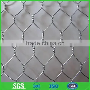 1/2'' Chicken Wire/pvc Coated Poultry Chicken Wire Mesh thumbnail-1