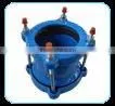 DI Coupling Adaptor thumbnail-1