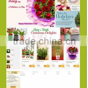 Shop Website thumbnail-2