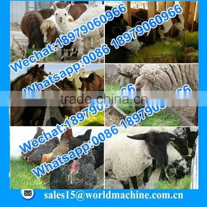 Best Quality Hydroponic Grass Room/ Barley Fodder Growing System for Growing Animal Feed thumbnail-3