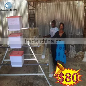 Chicken and Poultry Farming Use Type Poultry Farming Equipment thumbnail-1