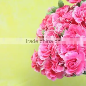 Good Smell Hot Sale Fresh Cut Carnations and Roses thumbnail-3