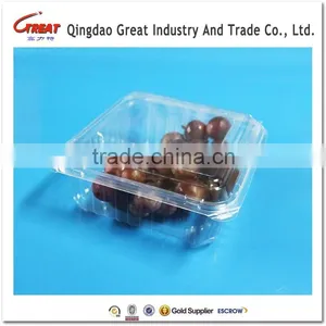 Plastic Blueberry Packaging Container 125 Gram thumbnail-6