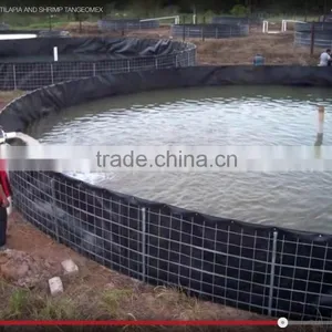 HDPE Geomembrane Sheet Price / Fish Pond Materials thumbnail-1