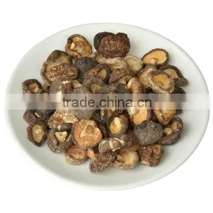 Mushroom Extract thumbnail-2