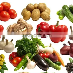 SW-P420 420 Granule Snack Food Vertical Automatic Packing Machine thumbnail-6