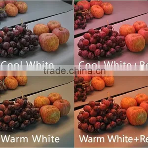 DC24V Warm White Cool White and Red Color in One Led Strip Light Led Food Light thumbnail-1