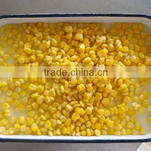 Export Canned Sweet Yellow Corn 340gx24tin thumbnail-2